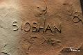 name carved in Red Rocks